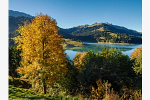 herbstliche Seesicht