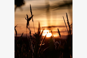 Sonnenuntergang 1