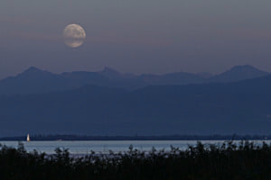 Rising Moon