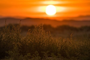 Goldene Stunde