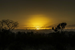 Sonnenaufgang im Krügernationalpark