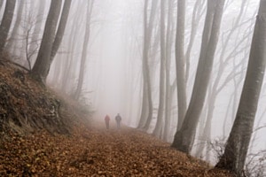 Einsame Wanderer