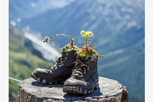 Vase auf der Segantini-Hütte Graubünden