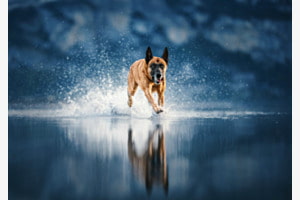 Wasserspass 