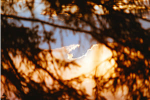 Following a cloud