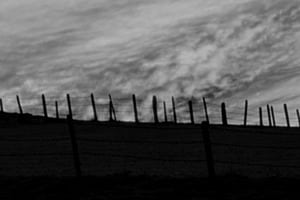 Der Zaun Der Zaun