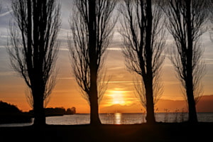 Abendsonne 