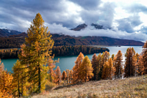 Silsersee