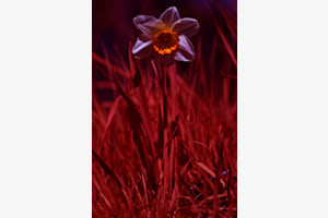 Spring awakening