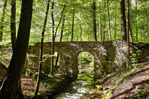 Die Brücke im Wald