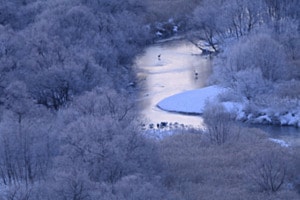 Morgenstimmung bei Minus 12° 