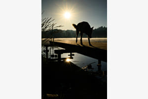 Doppelte Sonne