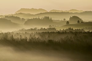 Herbststimmung