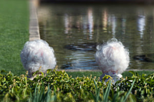 Ausruhen Ausruhen