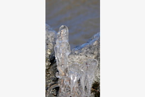 Bord de lac gelé