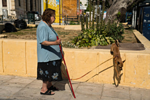 Gassi in Chania - Kreta Gassi in Chania - Kreta