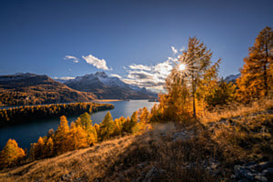 Die goldenen Lärchen leuchten im Herbstlicht