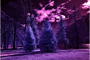 Valposchiavo in infrared Valposchiavo in infrared