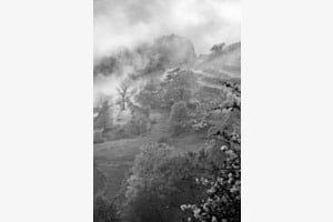 Monte Ceppo