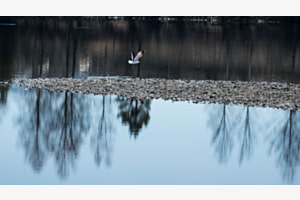 Take-off auf der Drammenselva 