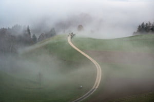 Vom Nebel verschluckter Feldweg
