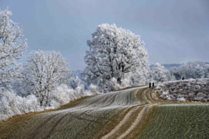 Morgenspaziergang im Biecht