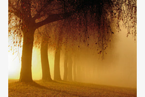 Magischer Herbstmorgen