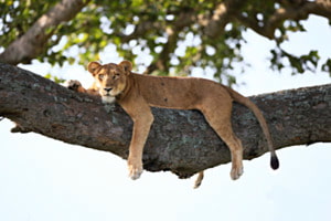 Relax - Take it easy Relax - Take it easy