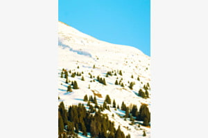 Ein Morgen in der Schneelandschaft Ein Morgen in der Schneelandschaft