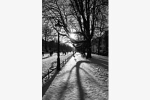 Schnee in der Stadt