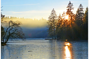 Teich