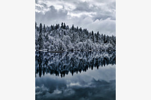 Stille