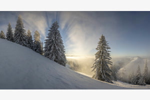 Lichtblick