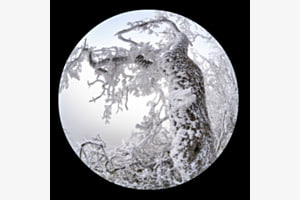 Fisheye