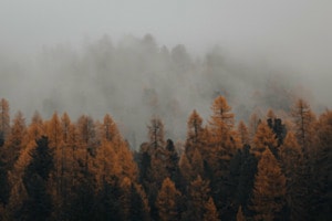 Engadiner Herbst