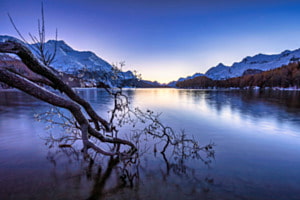 Silsersee 