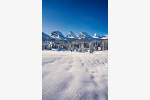 Wintermärchen Wintermärchen