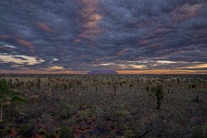 Natur in Ewigkeit