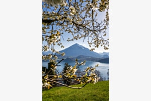 Frühling im Berner Oberland