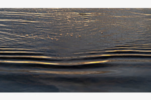 linien zart