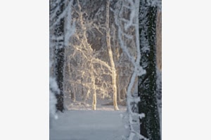 Wärmendes Licht