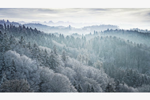Gefroren