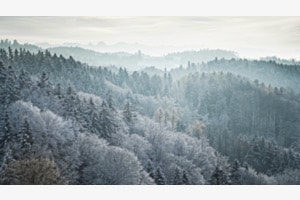 Farbtupfer im Frost