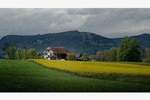 Frühling
