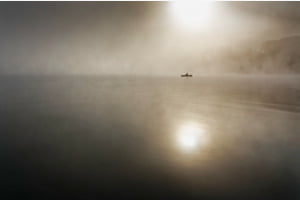 Morgennebel
