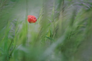 Versteckt
