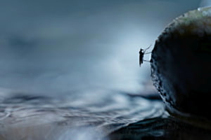 Am Wasser