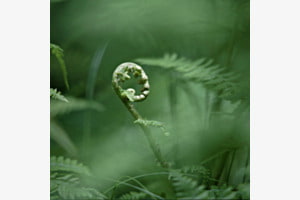 Versteckt