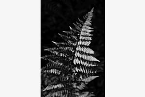 Licht und Schatten Licht und Schatten