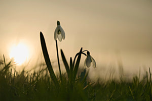 Im Abendlicht